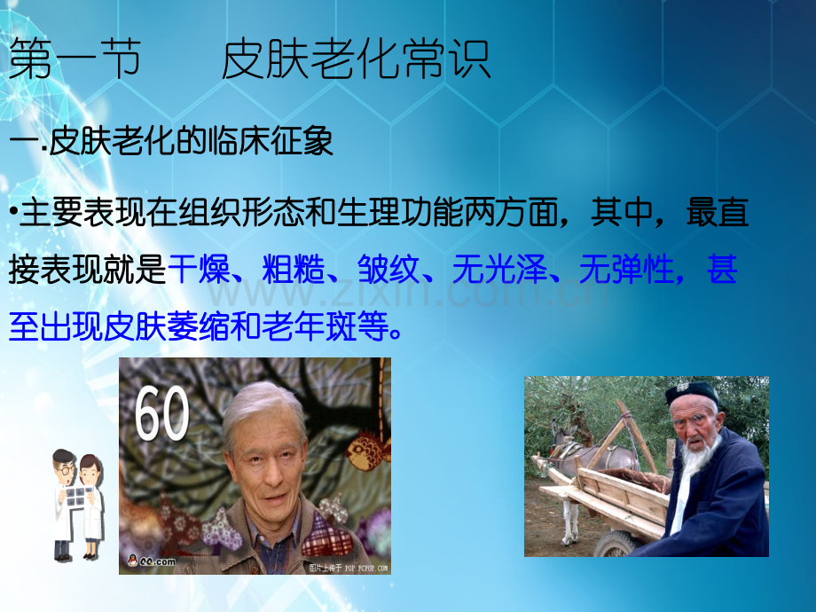 第八章延缓皮肤衰老药ppt课件.ppt_第3页