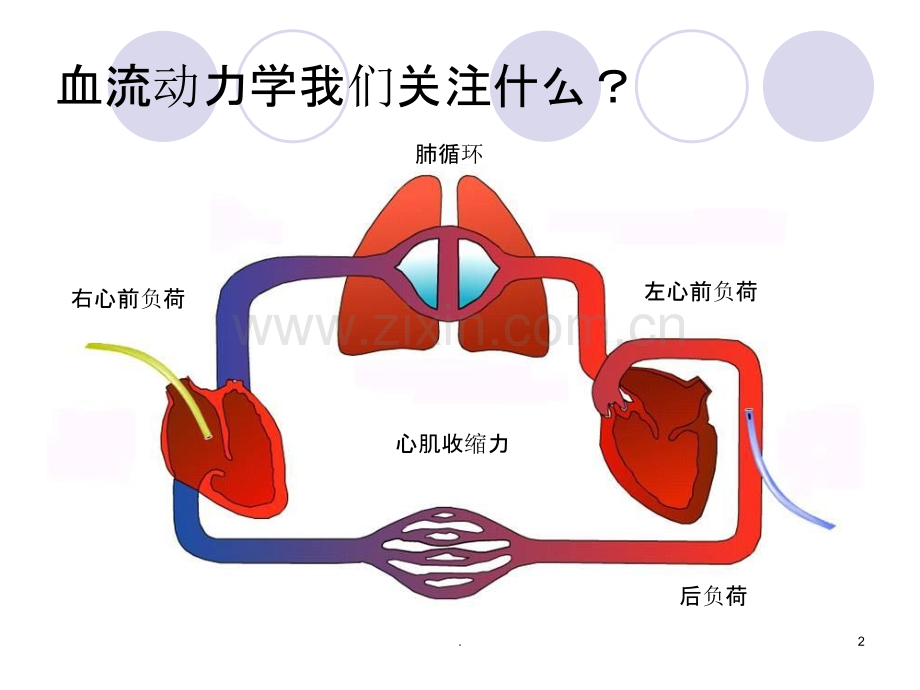 PICCO参数解读与血流动力学PPT课件.ppt_第2页