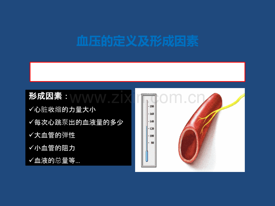 正确测量掌控血压.pptx_第3页