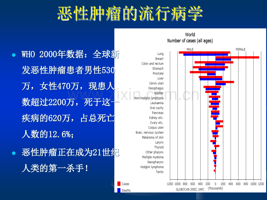 恶性肿瘤的治疗药物ppt课件.ppt_第3页