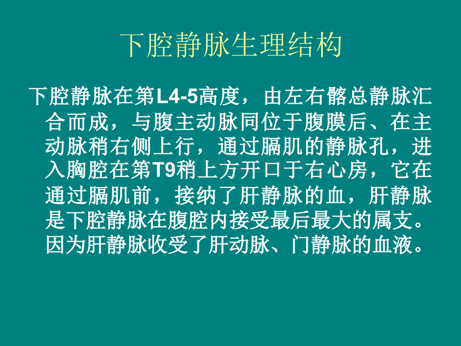 肝静脉闭塞综合征.ppt_第2页