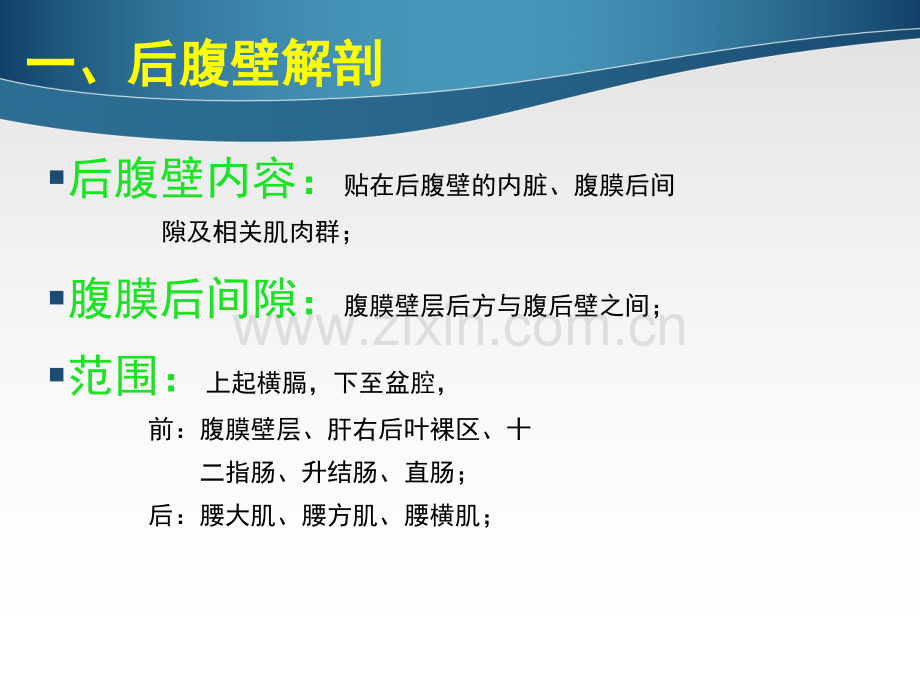 腹膜后大血管及肾上腺的超生诊断ppt课件.ppt_第3页