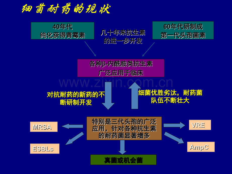 anibioicppt课件.ppt_第2页