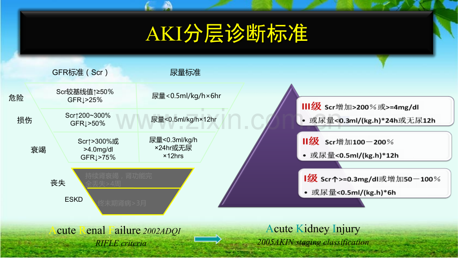 院内疑难病例讨论-吴AKI诊治进展修.ppt_第2页