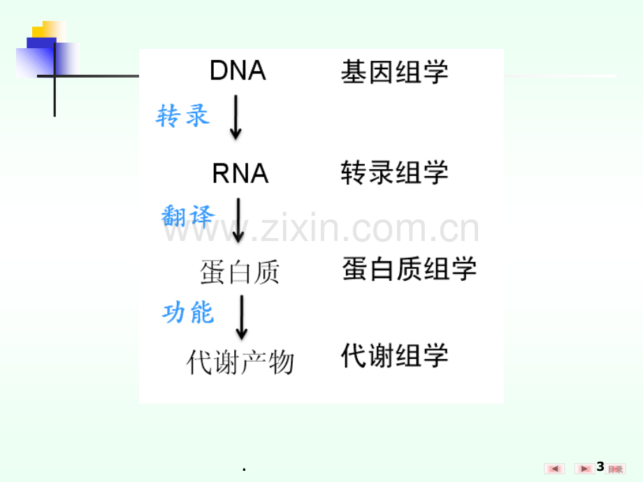 组学和医学PPT课件.ppt_第3页