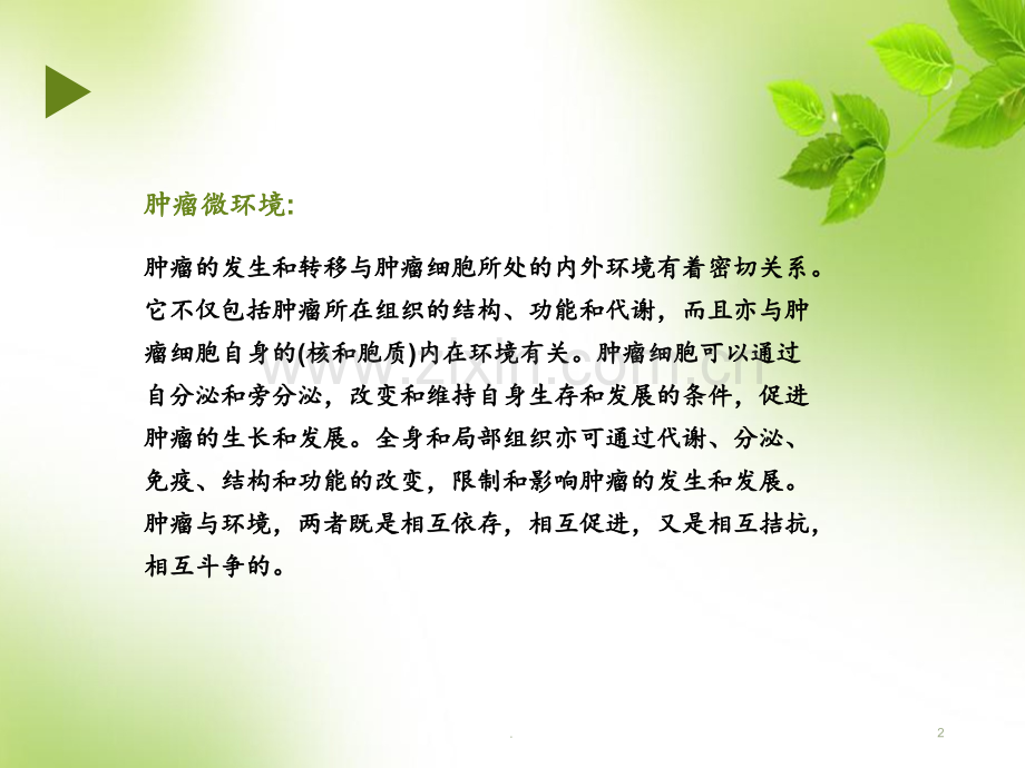 肿瘤微环境PPT课件.ppt_第2页