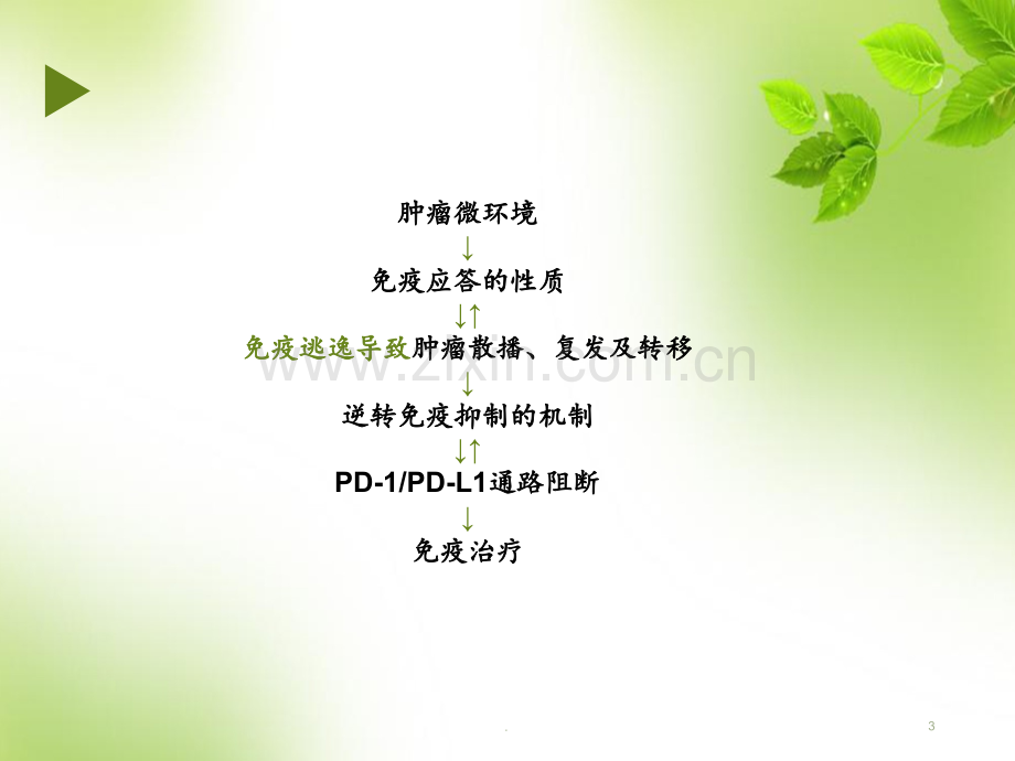 肿瘤微环境PPT课件.ppt_第3页