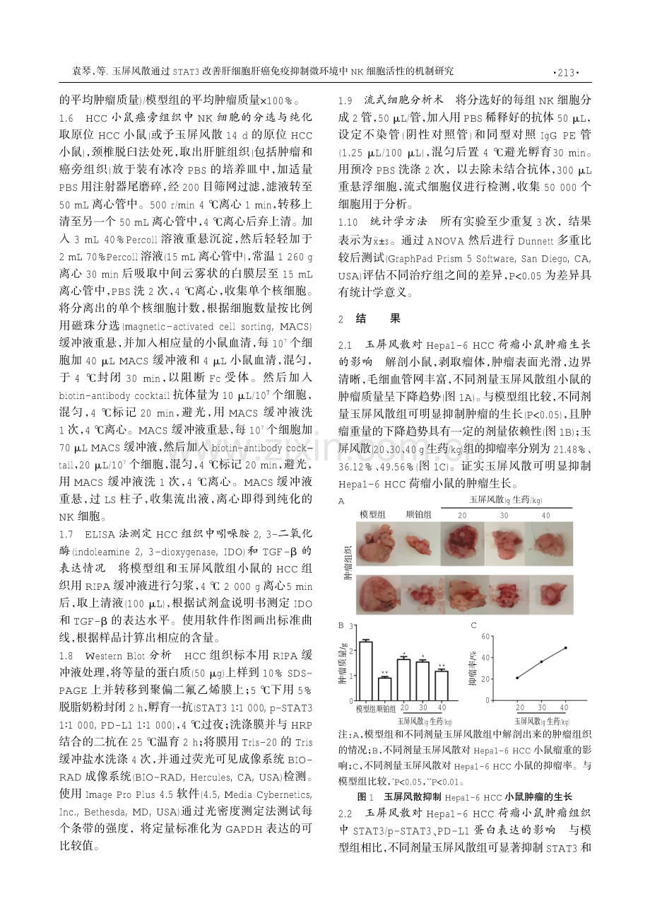 玉屏风散通过STAT3改善肝细胞肝癌免疫抑制微环境中NK细胞活性的机制研究.pdf_第3页