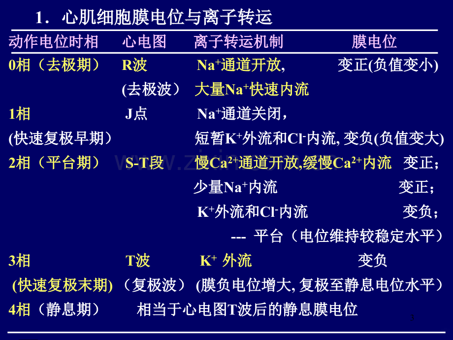 抗心律失常药的PPT课件.ppt_第3页