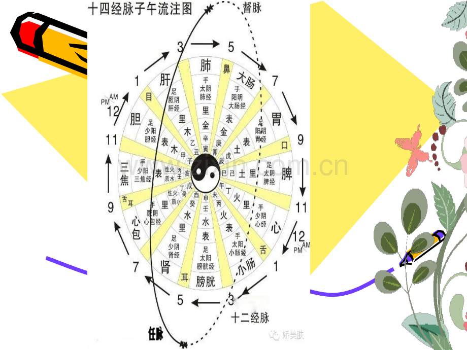 中医文化源流ppt课件.pptx_第3页