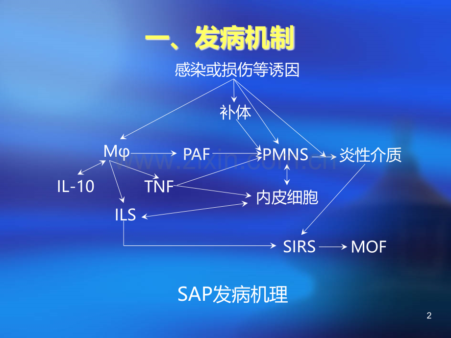 重症急性胰腺炎课件PPT课件.ppt_第2页