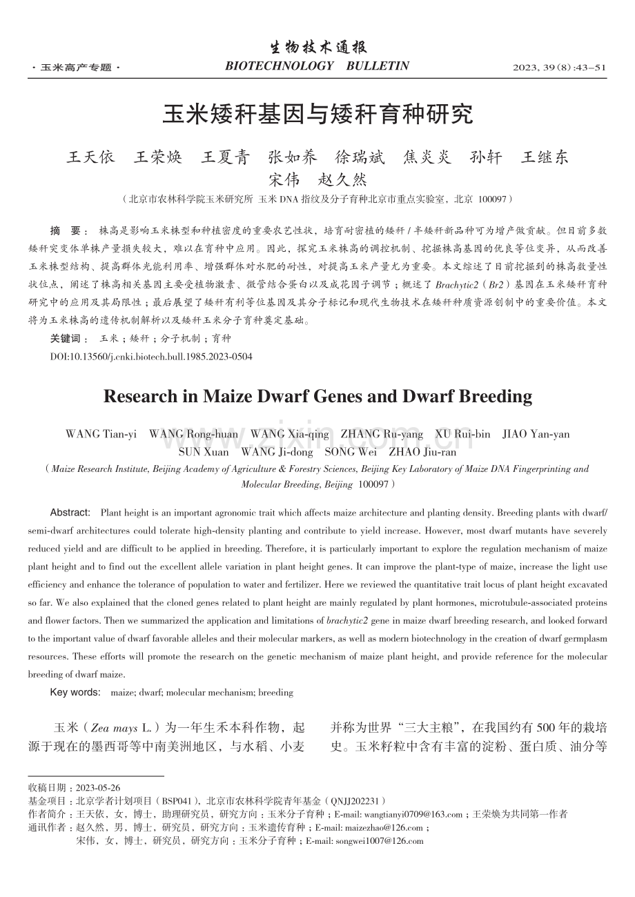 玉米矮秆基因与矮秆育种研究.pdf_第1页