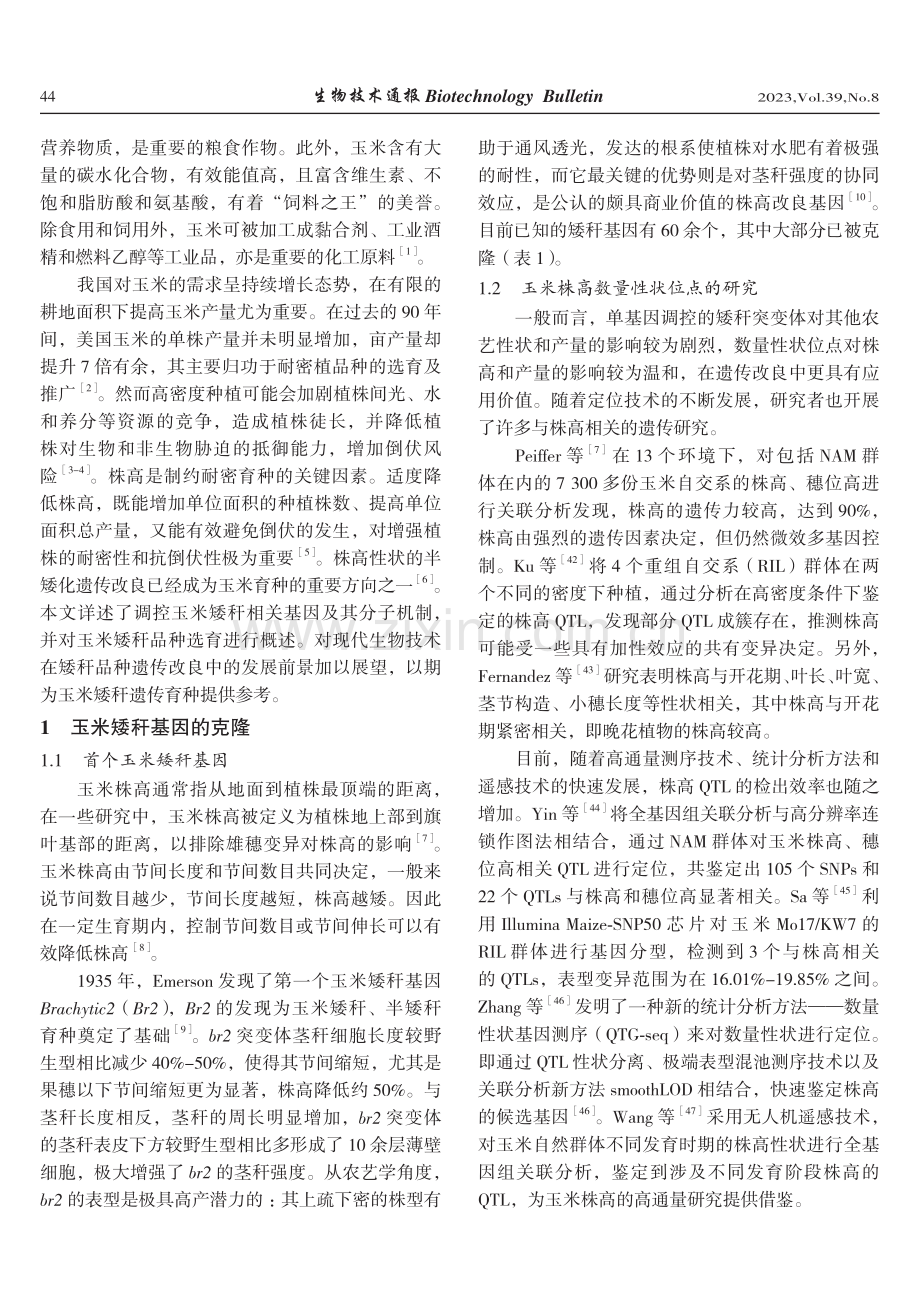 玉米矮秆基因与矮秆育种研究.pdf_第2页