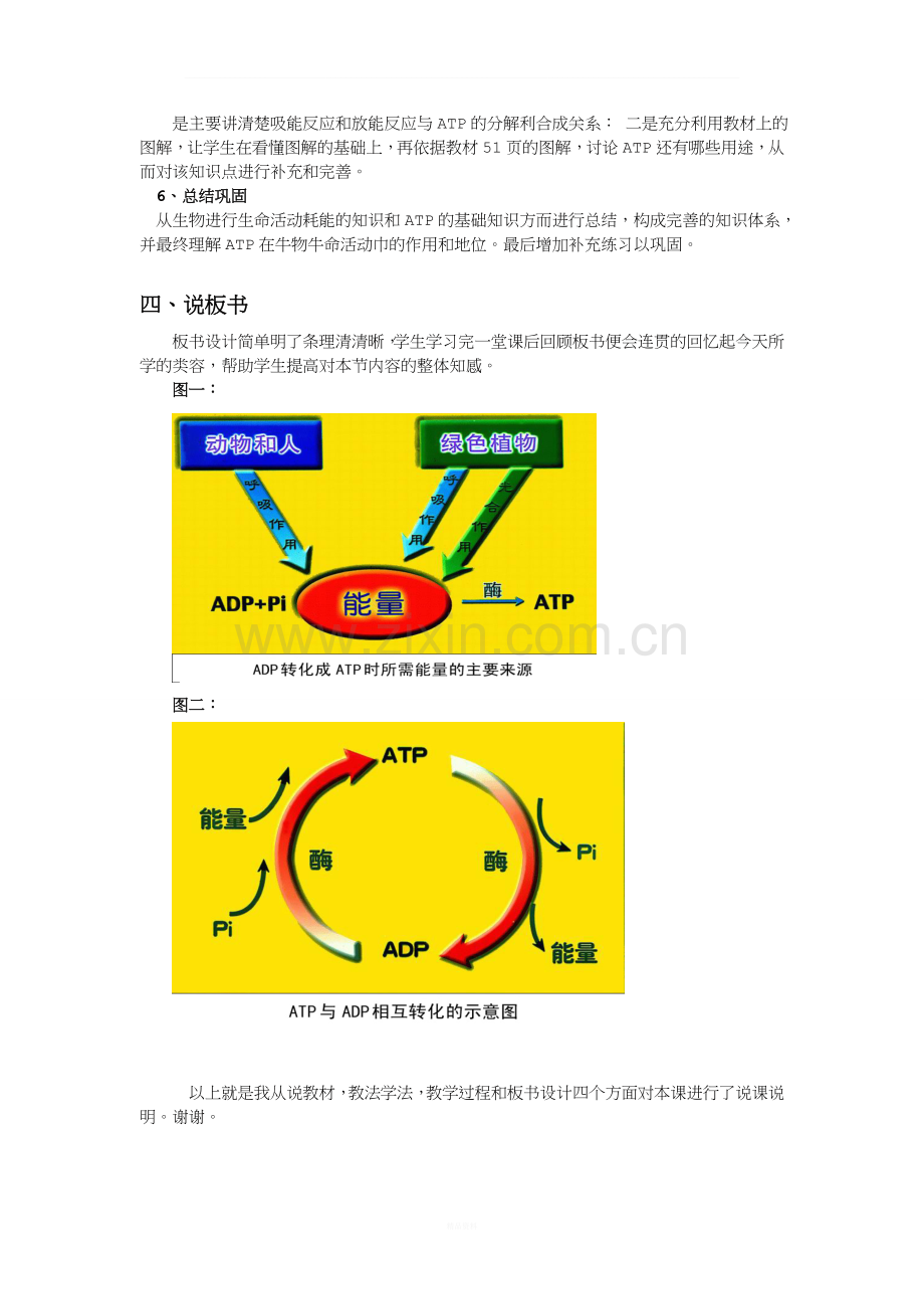 细胞的能量通货——ATP-说课稿.doc_第3页