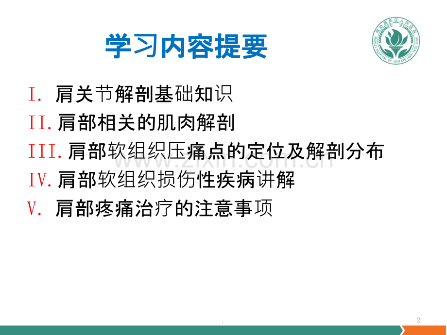 肩关节软组织压痛点的解剖与临床PPT课件.pptx_第2页