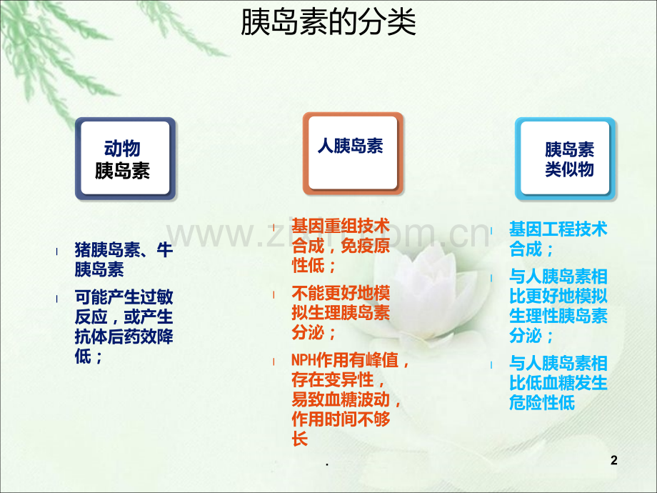 胰岛素的分类与作用时间PPT课件.ppt_第2页