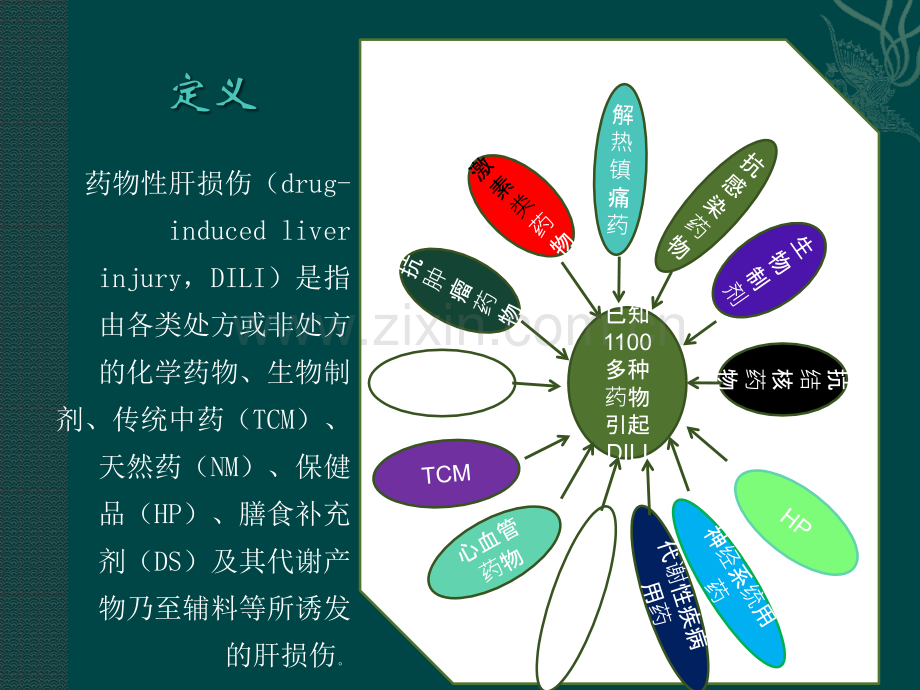 药物性肝损伤PPT课件.pptx_第2页