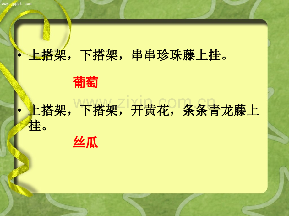 《爬山虎的脚》PPT.ppt_第1页