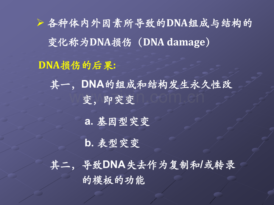 DNA损伤与修复ppt课件.ppt_第2页