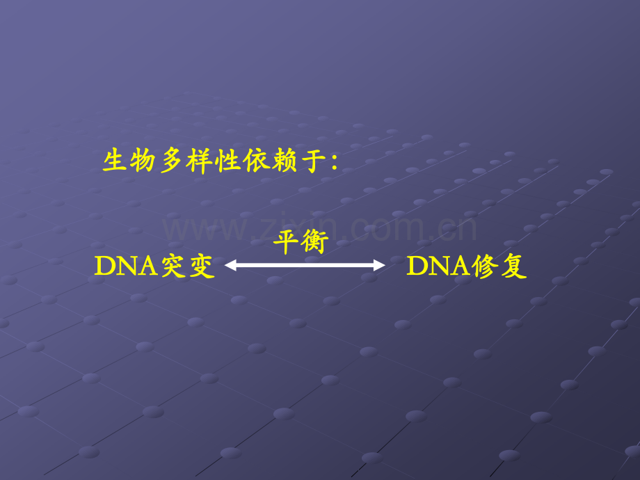 DNA损伤与修复ppt课件.ppt_第3页