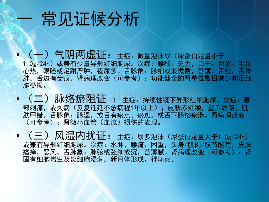 IgA肾病课件ppt课件.ppt_第2页