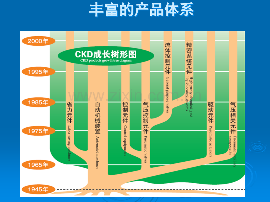 CKD-培训资料.ppt_第3页