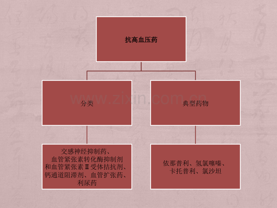 心内科常用药物知识.pptx_第3页