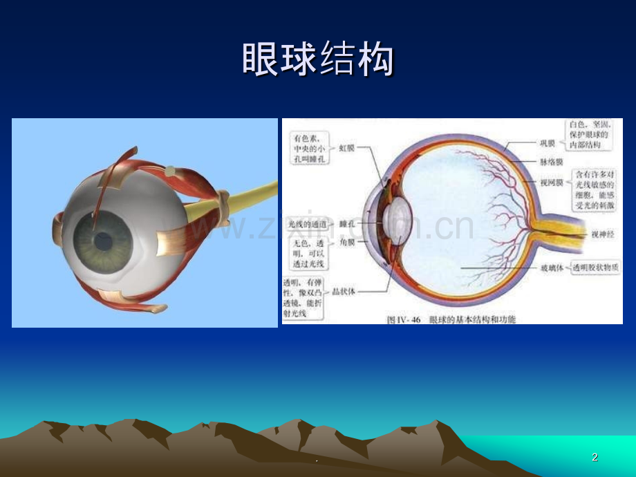 眼睛保健科普讲座ppt课件.pptx_第2页