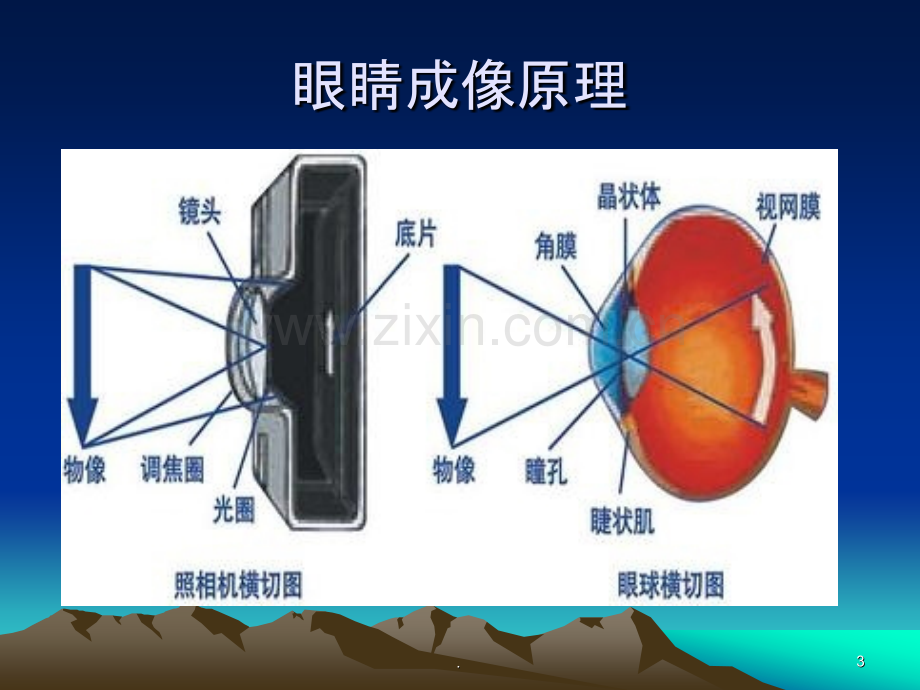 眼睛保健科普讲座ppt课件.pptx_第3页