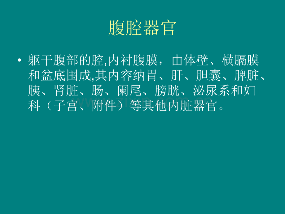 腹腔器官ppt课件.ppt_第1页