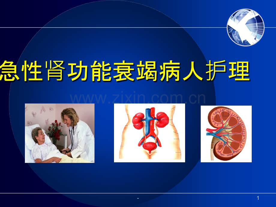 [急性肾功能衰竭]PPT课件.ppt_第1页