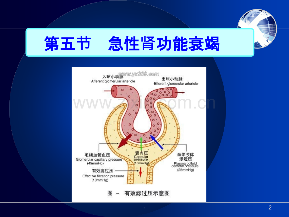 [急性肾功能衰竭]PPT课件.ppt_第2页