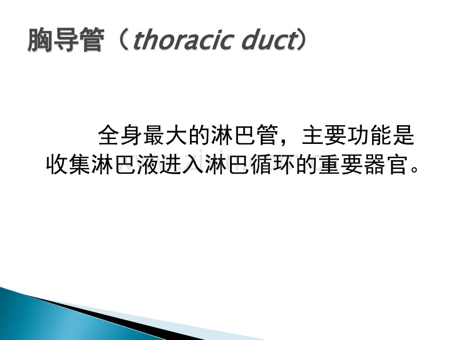 胸导管horacic-ducppt课件.pptx_第1页