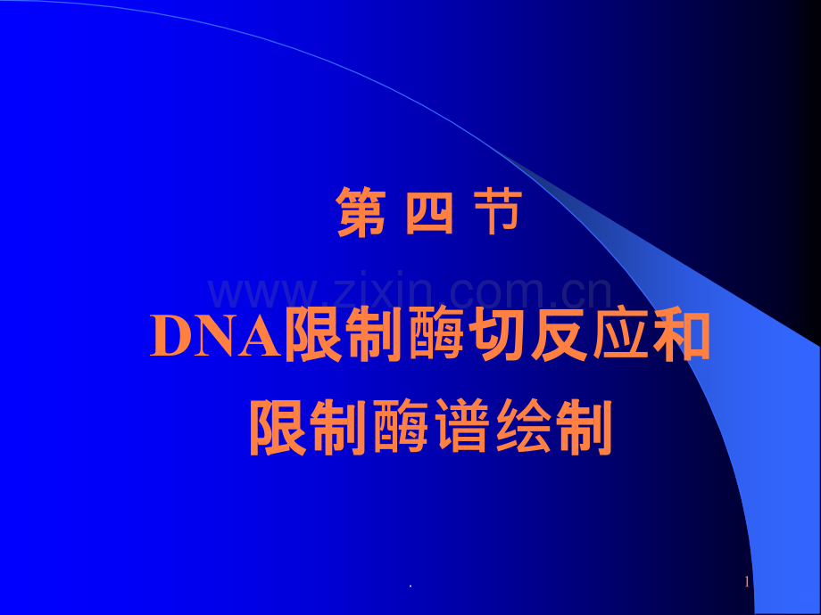 DNA限制酶切反应和限制酶谱绘制ppt课件.ppt_第1页