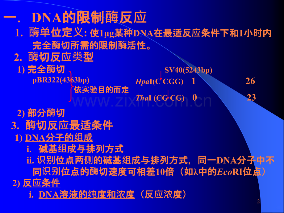 DNA限制酶切反应和限制酶谱绘制ppt课件.ppt_第2页