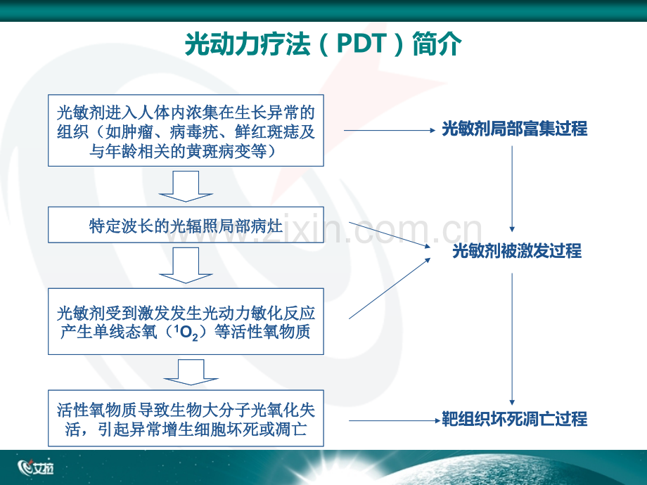 艾拉光动力治疗系统PPT课件.ppt_第2页