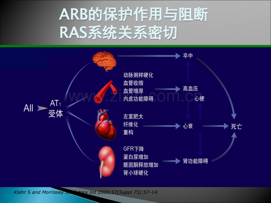 ARB治疗糖尿病肾病的循证医学证据ppt课件.ppt_第2页