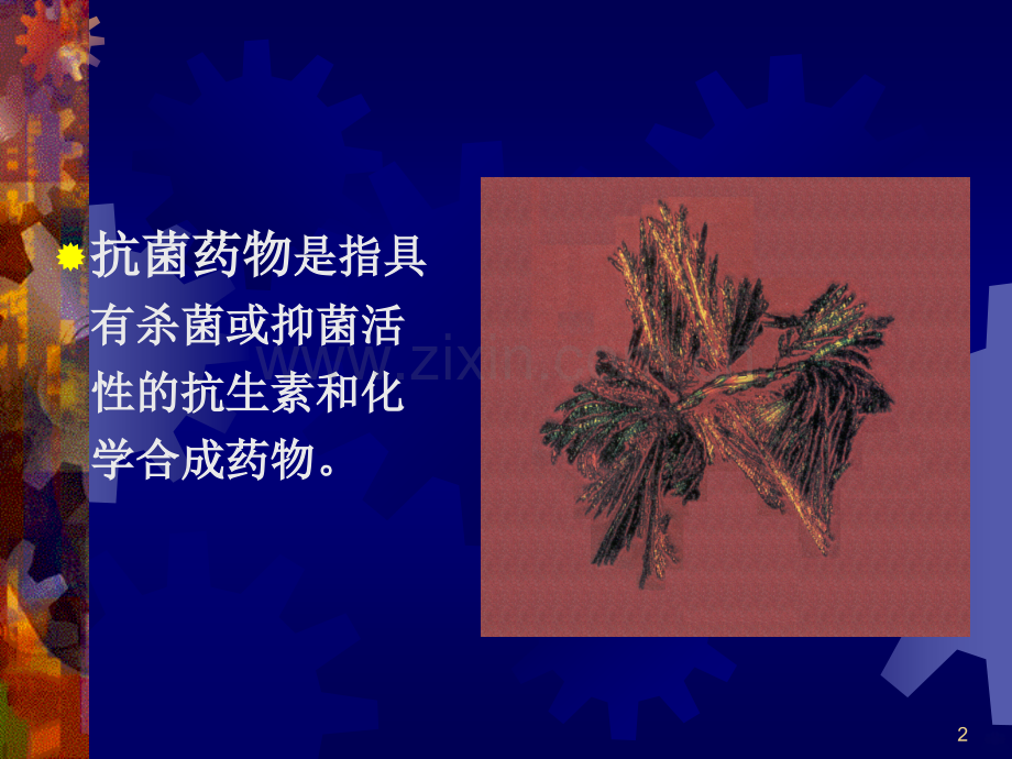 常用抗菌药物机制PPT课件.ppt_第2页