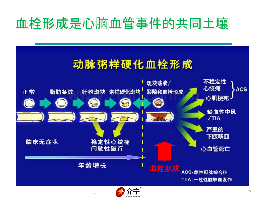 介宁阿司匹林临床应用ppt课件.pptx_第3页