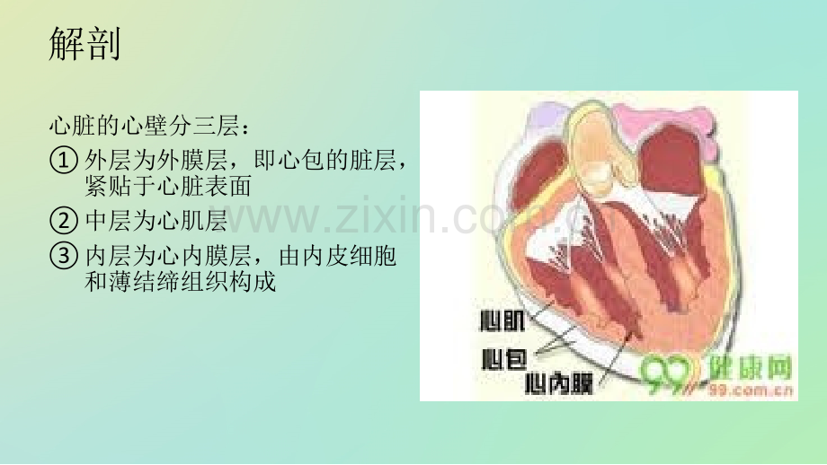 感染性心内膜炎.ppt.ppt_第3页