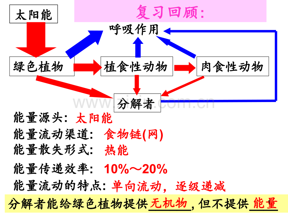 5.3《生态系统的物质循环》-PPT课件.ppt_第1页