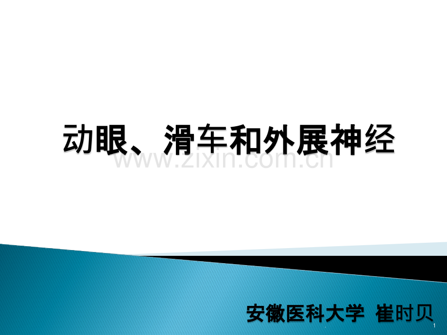 动眼、滑车、外展神经解剖ppt课件.pptx_第1页