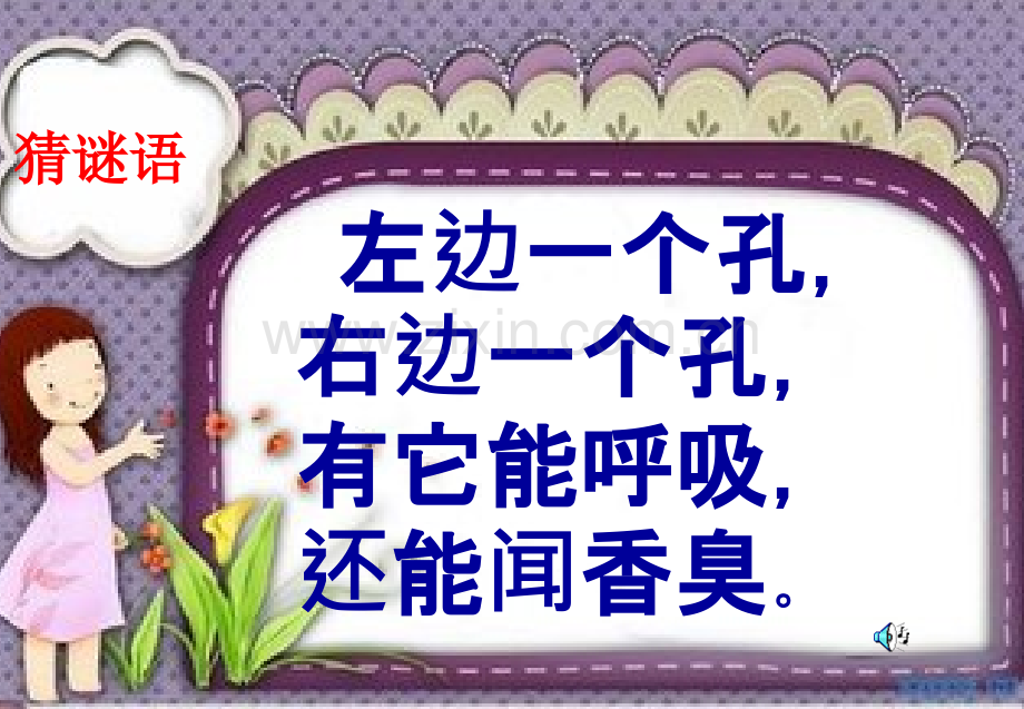 鼻子的故事课件.ppt_第2页