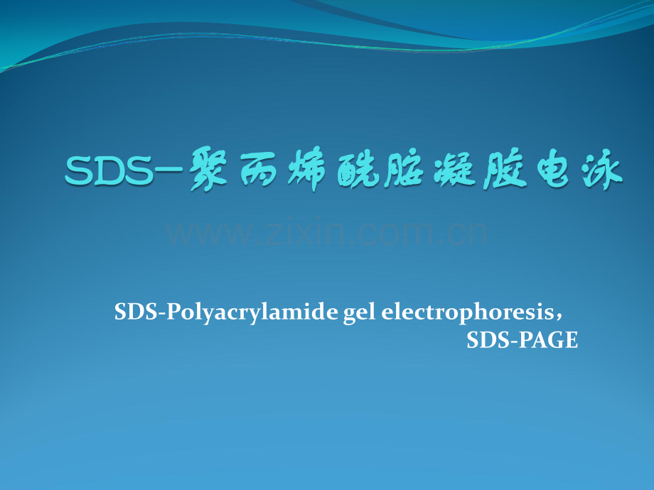 SDS-PAGE-聚丙烯酰胺凝胶电泳详解.ppt_第1页