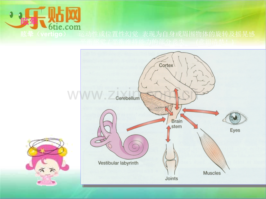 BPPV的诊断与治疗.ppt_第3页