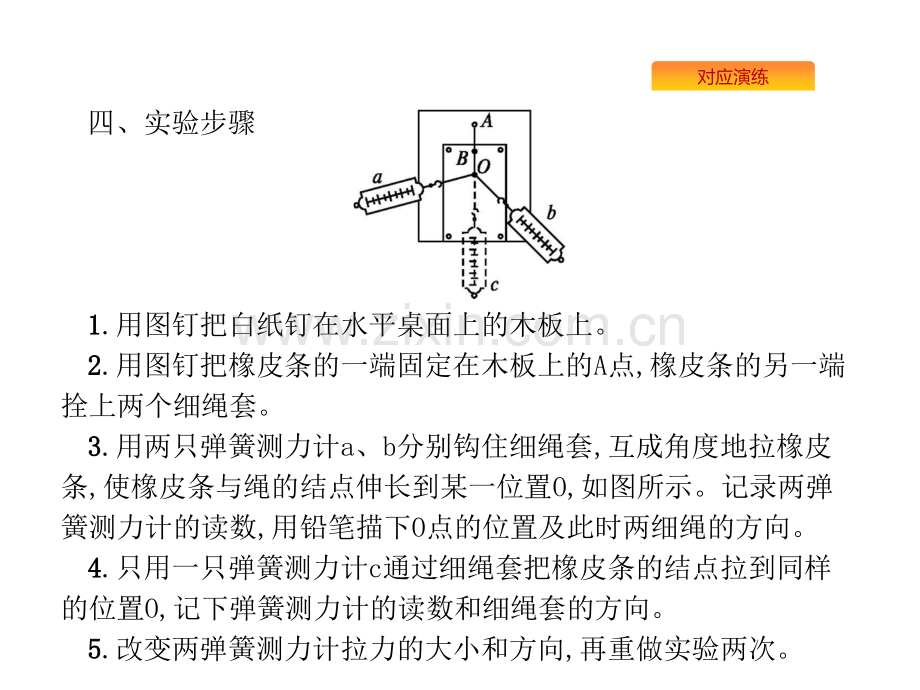 版高考物理人教版山东一轮复习实验探究两个互成角度的力的合成规律共张PPT课件.pptx_第3页