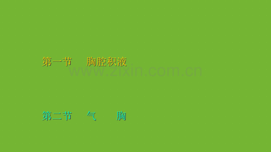 胸膜疾病ppt.ppt_第2页