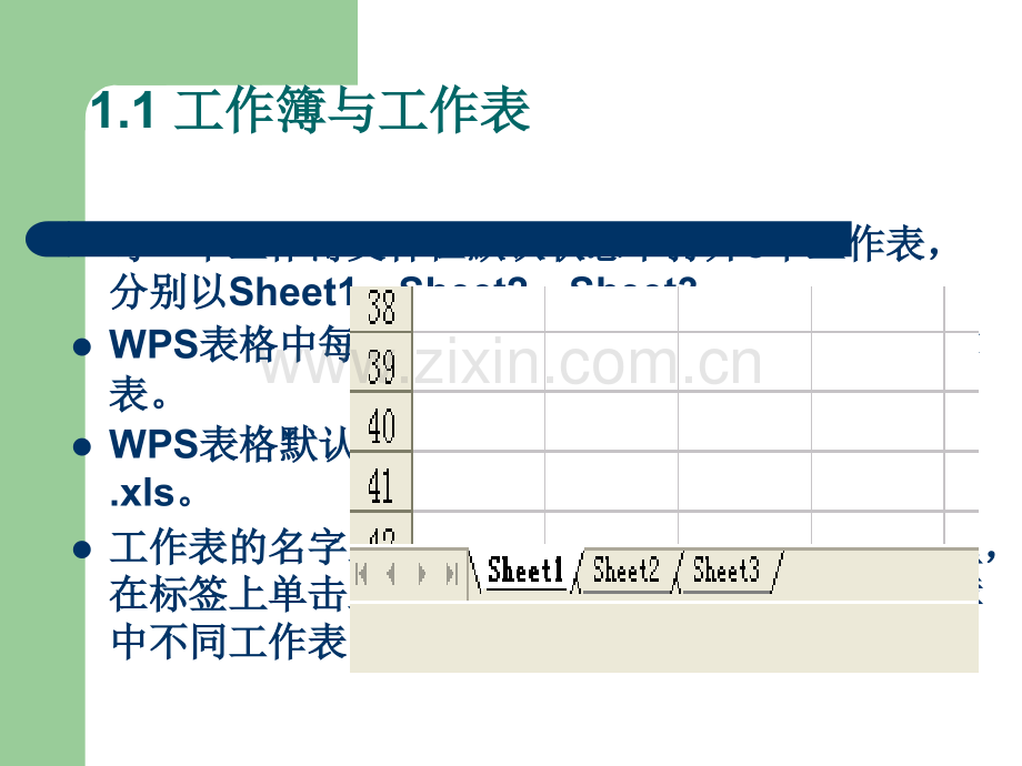 WPS表格基础.ppt_第3页