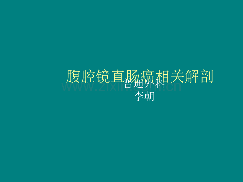 腹腔镜直肠癌相关解剖ppt课件.ppt_第1页