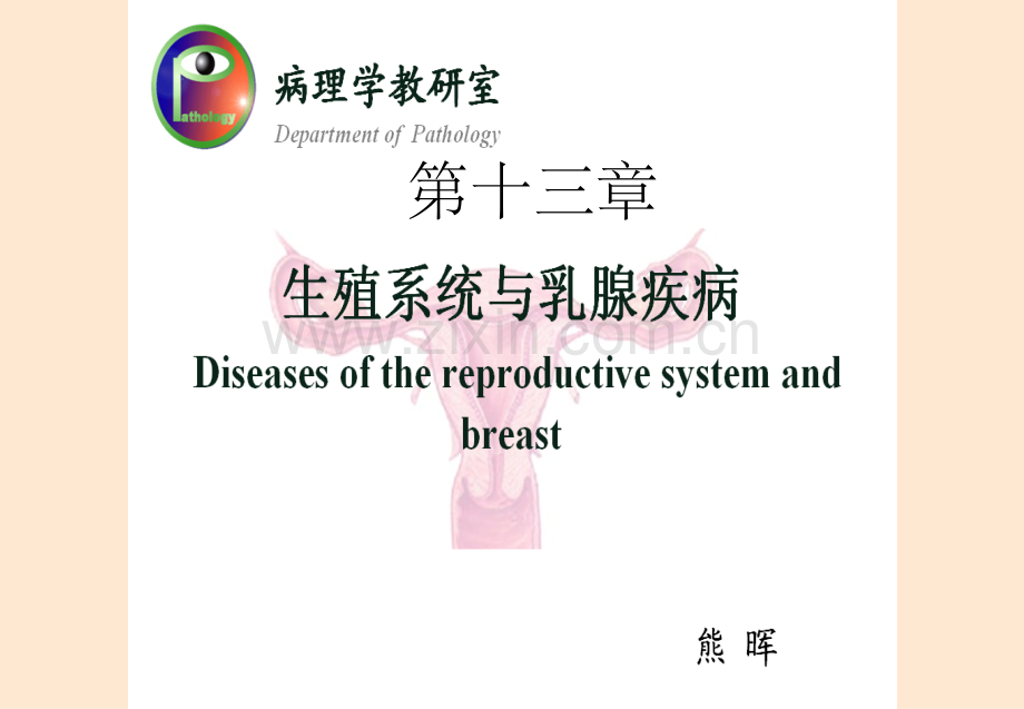 第十三章生殖系统和乳腺疾病.ppt_第1页